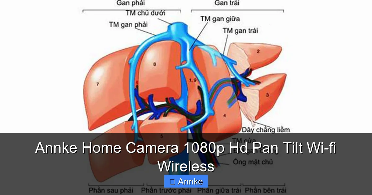Annke Home Camera 1080p Hd Pan Tilt Wi-fi Wireless