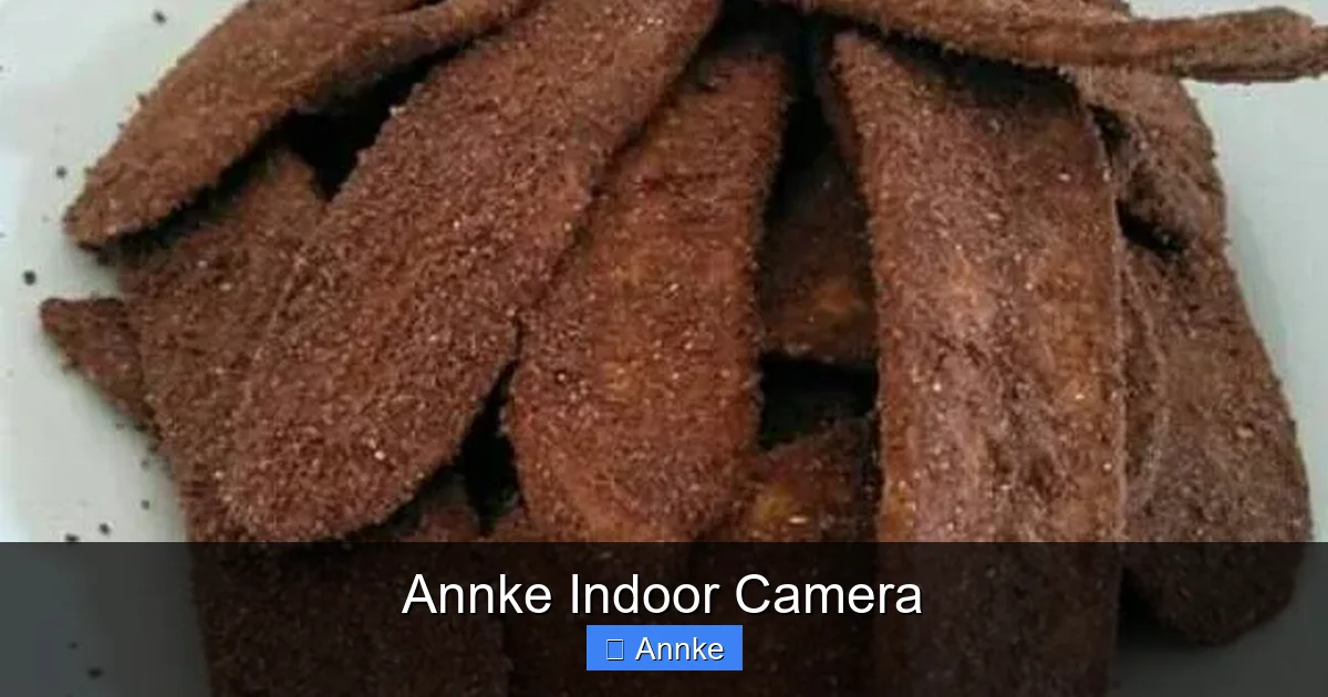 Annke Indoor Camera