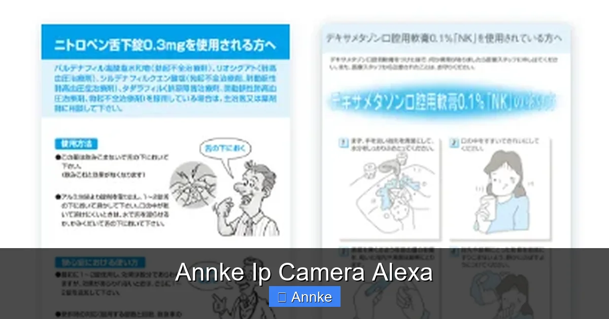 Annke Ip Camera Alexa