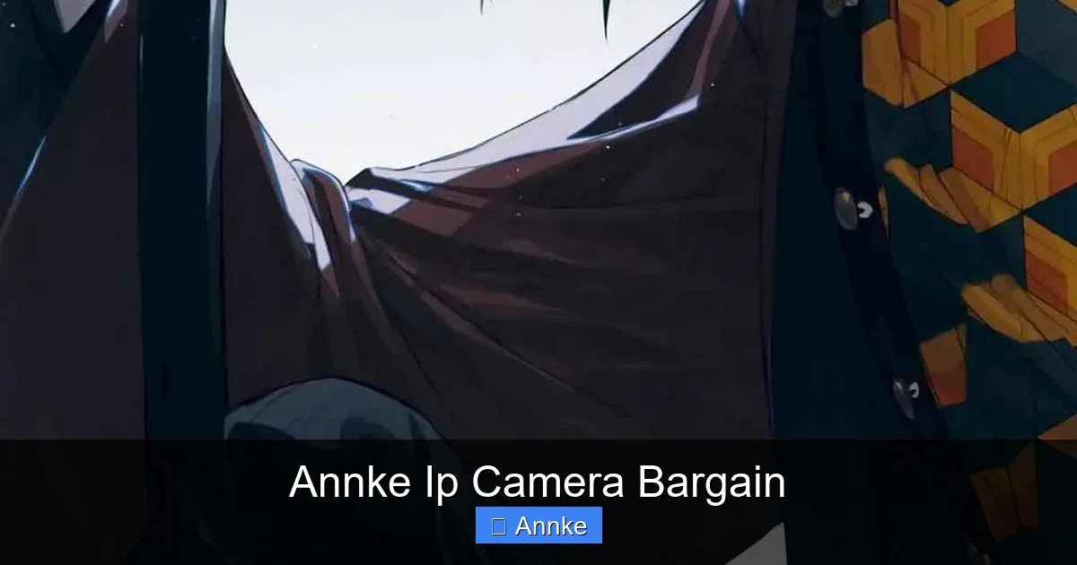 Annke Ip Camera Bargain