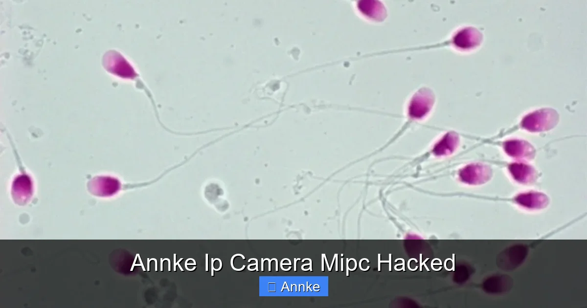 Annke Ip Camera Mipc Hacked