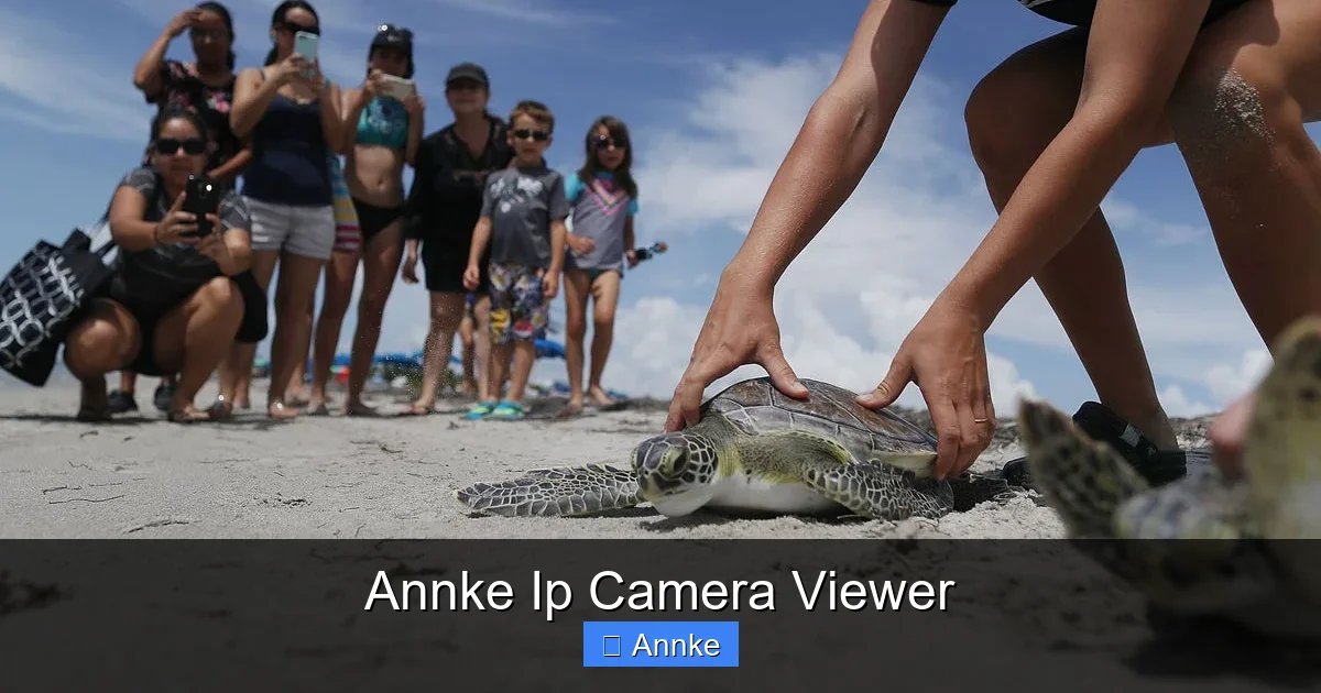 Annke Ip Camera Viewer