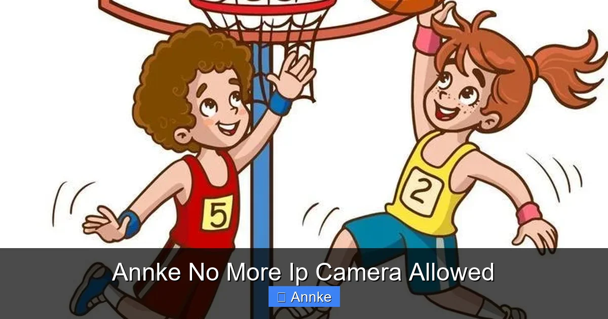 Annke No More Ip Camera Allowed