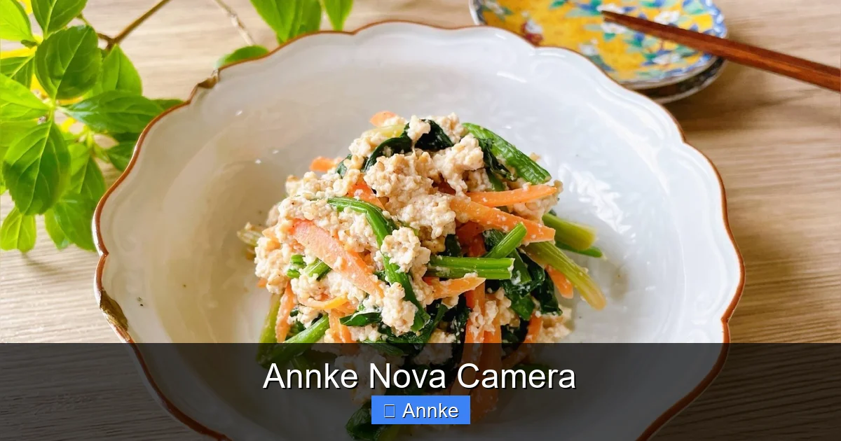 Annke Nova Camera