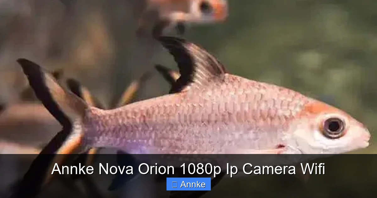Annke Nova Orion 1080p Ip Camera Wifi