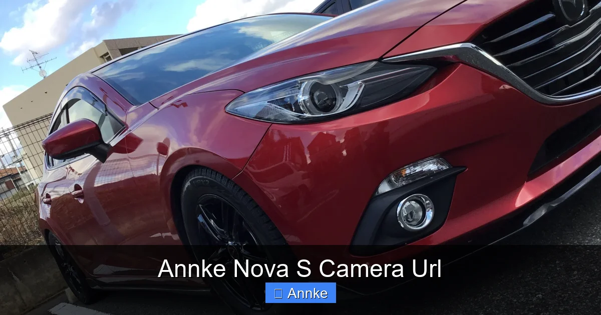Annke Nova S Camera Url