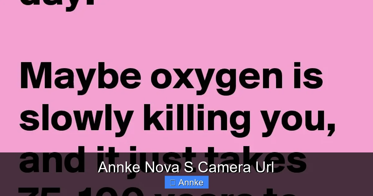 Annke Nova S Camera Url
