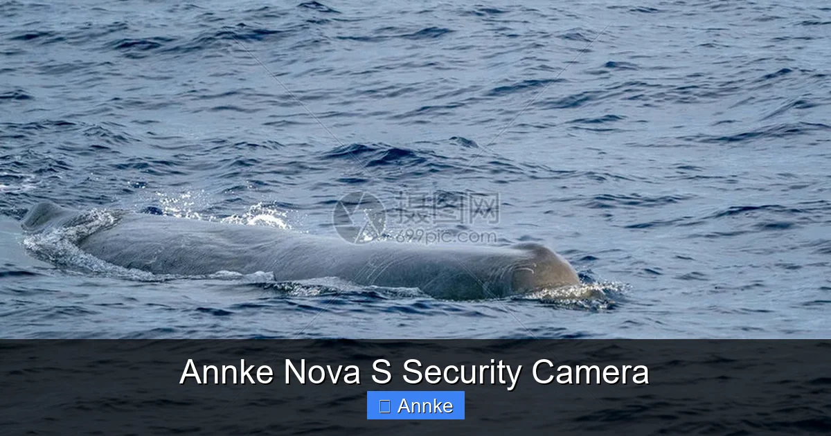 Annke Nova S Security Camera