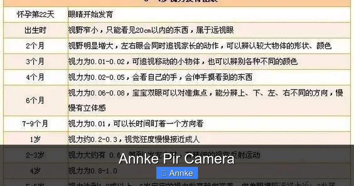 Annke Pir Camera