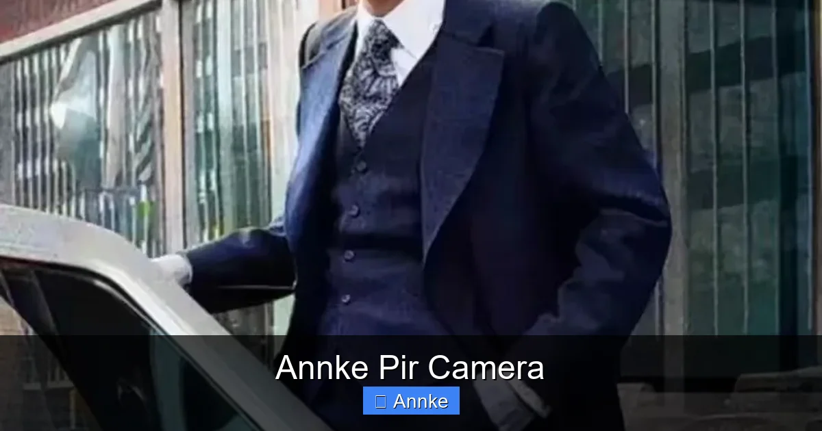 Annke Pir Camera