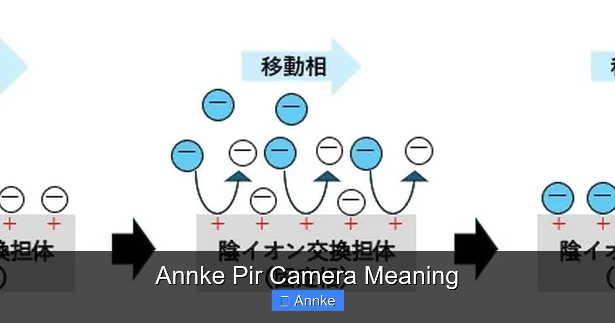 Annke Pir Camera Meaning