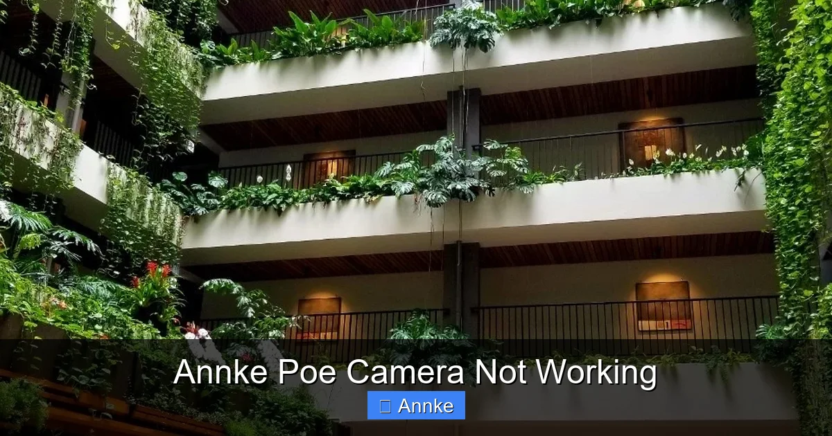 Annke Poe Camera Not Working