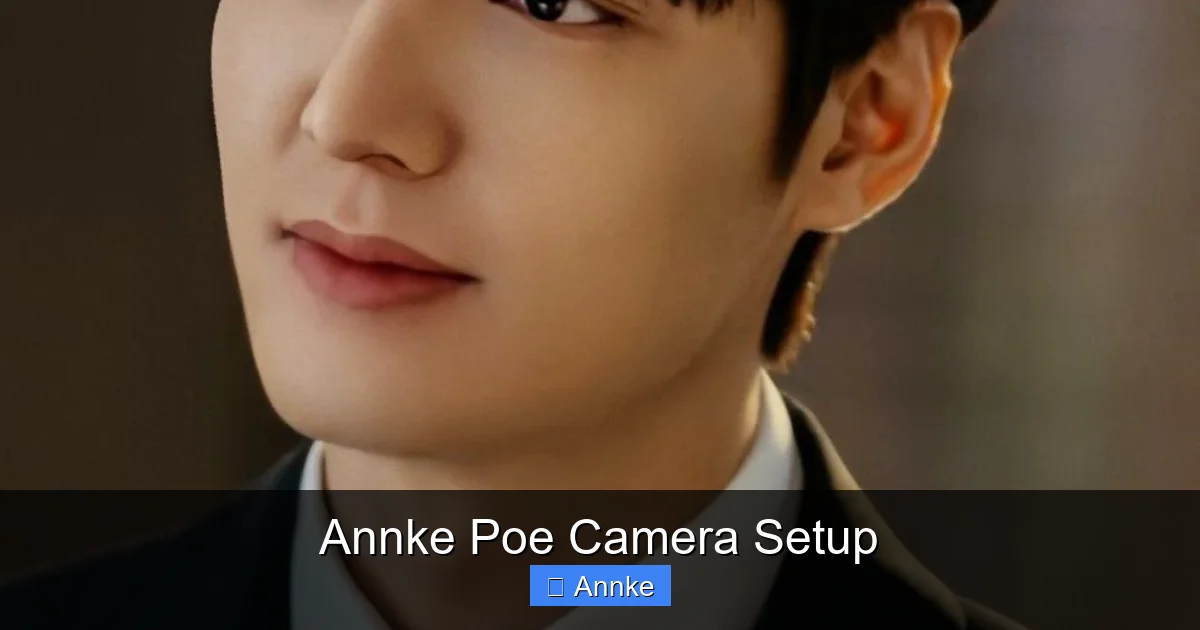 Annke Poe Camera Setup