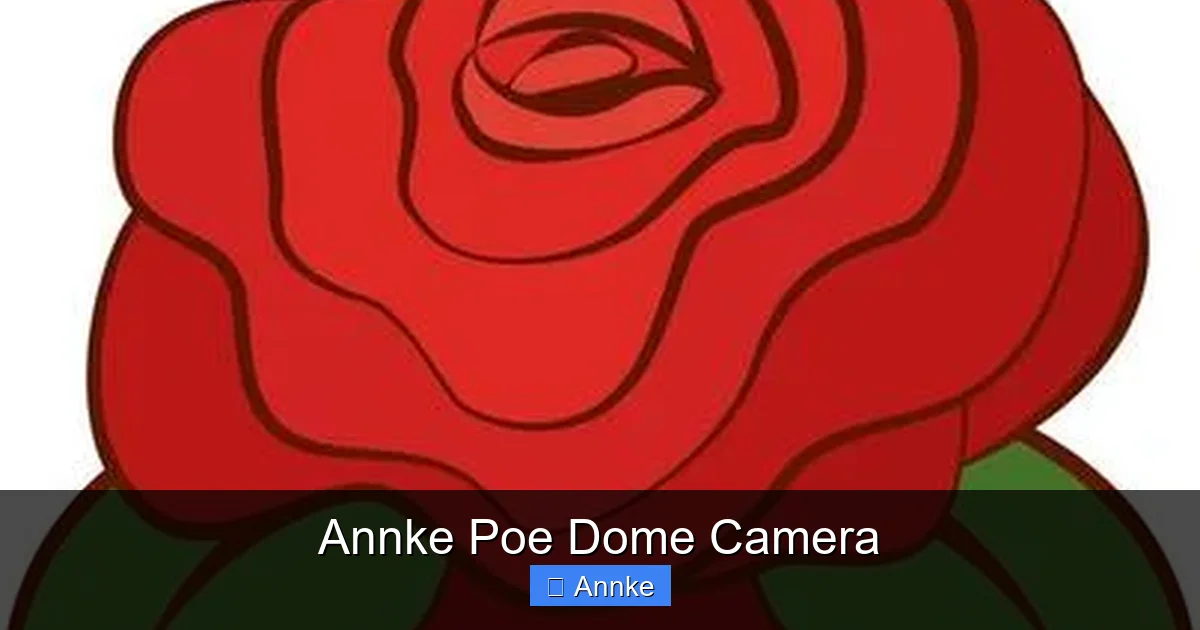 Annke Poe Dome Camera