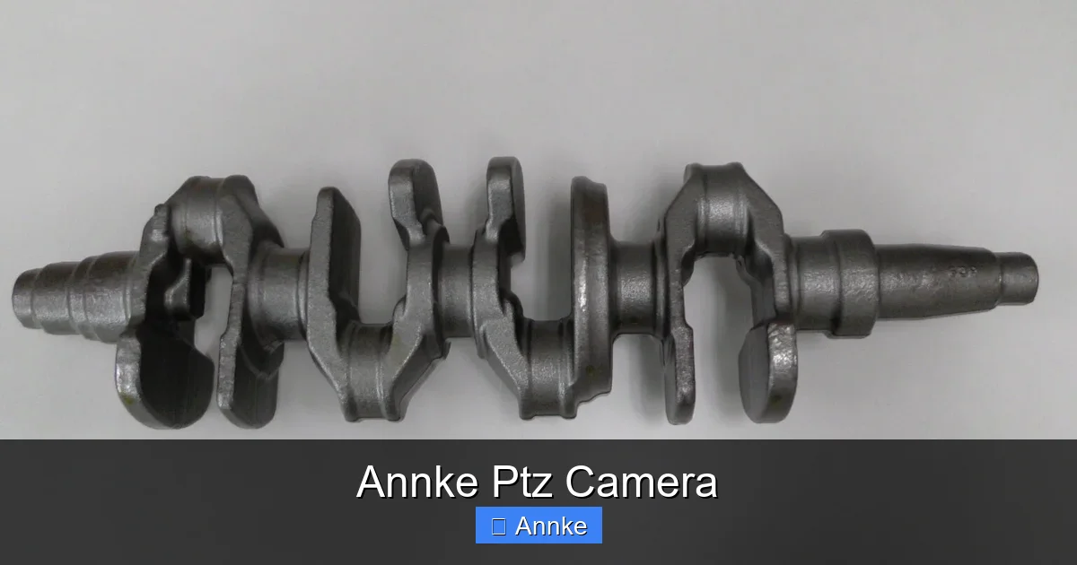 Annke Ptz Camera