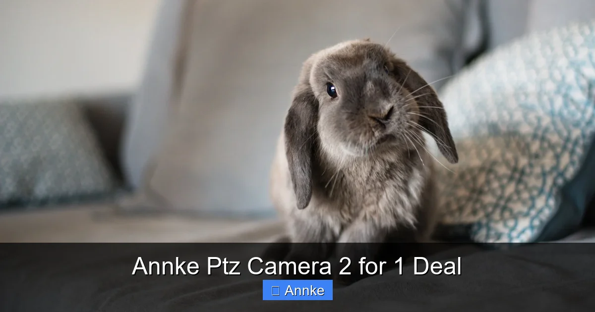 Annke Ptz Camera 2 for 1 Deal