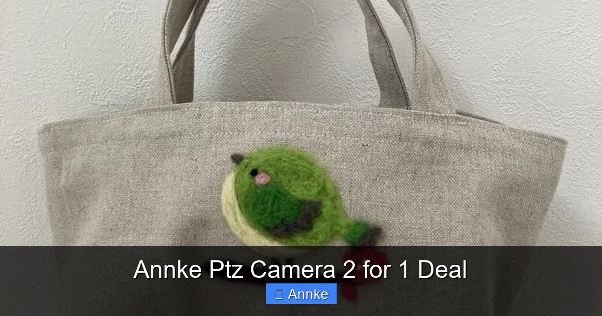 Annke Ptz Camera 2 for 1 Deal