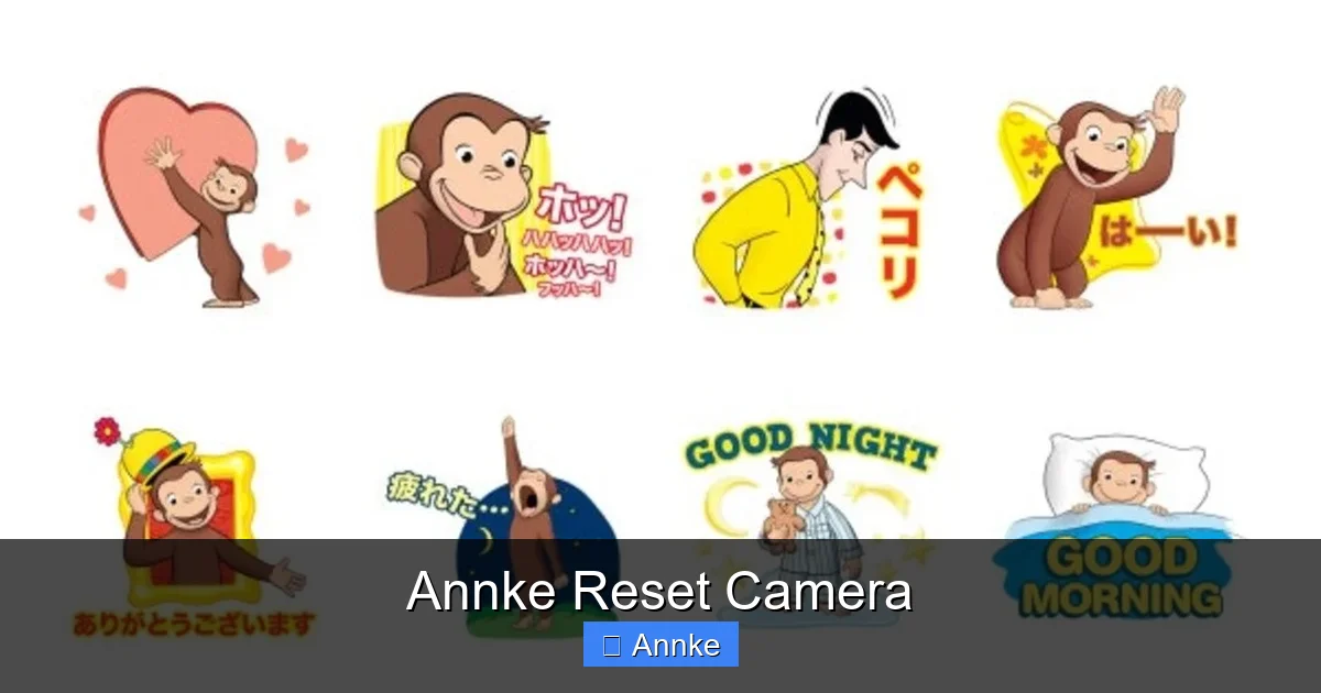 Annke Reset Camera