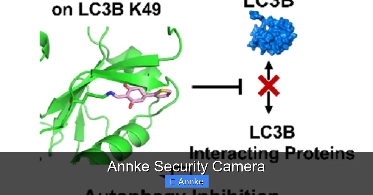 Annke Security Camera