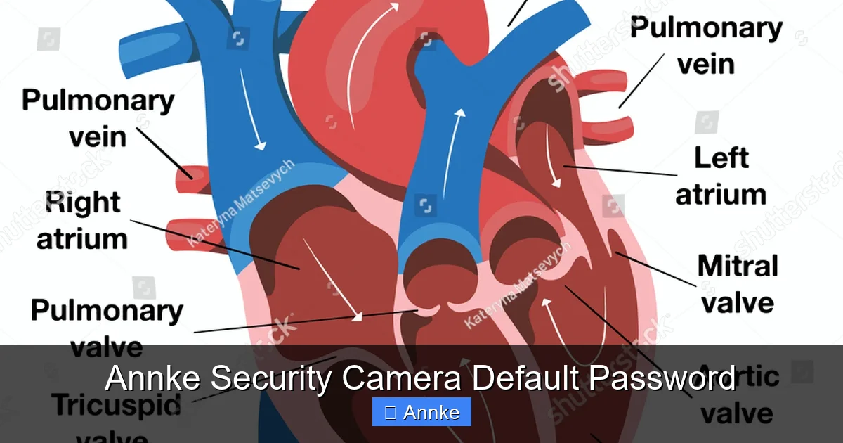 Annke Security Camera Default Password