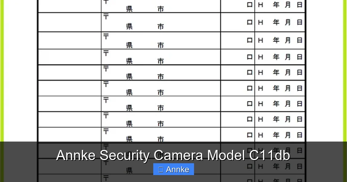 Annke Security Camera Model C11db