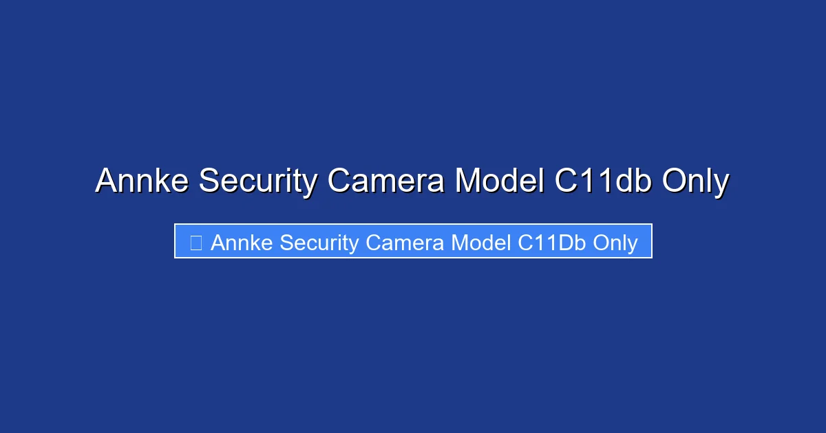 Annke Security Camera Model C11db Only