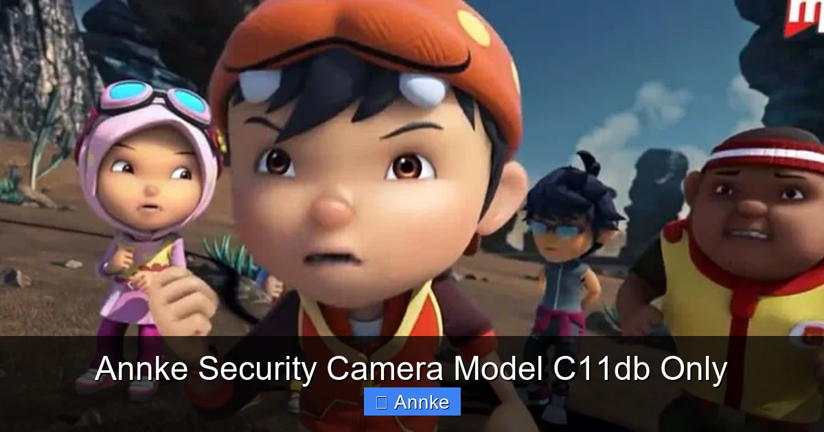 Annke Security Camera Model C11db Only