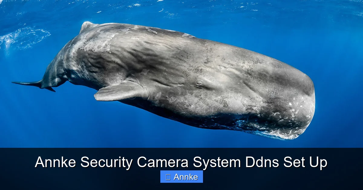 Annke Security Camera System Ddns Set Up