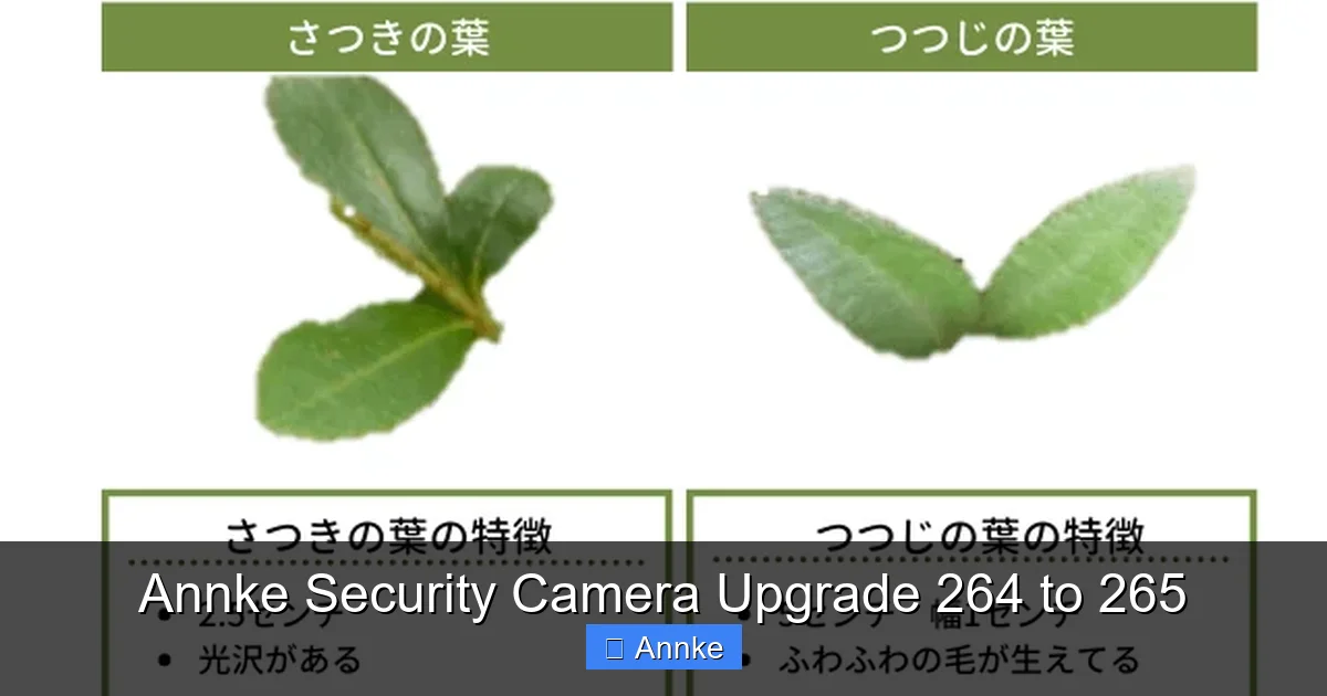 Annke Security Camera Upgrade 264 to 265
