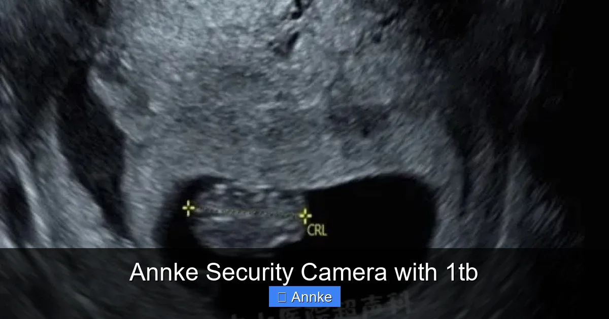 Annke Security Camera with 1tb