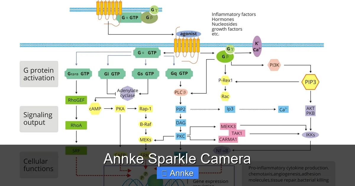Annke Sparkle Camera