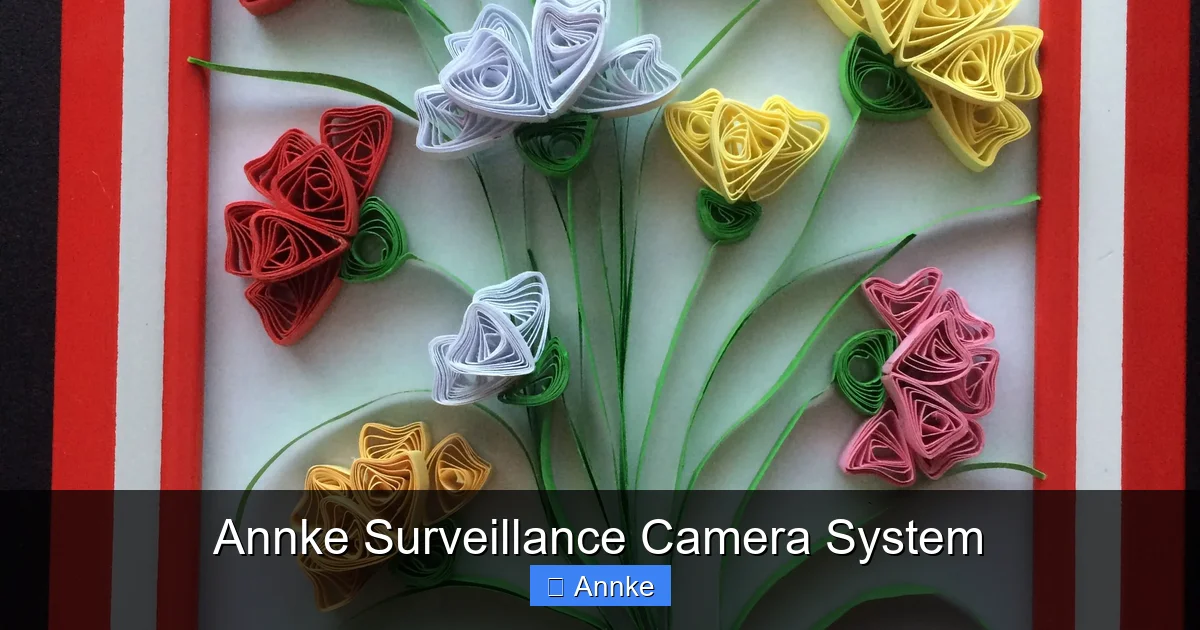 Annke Surveillance Camera System