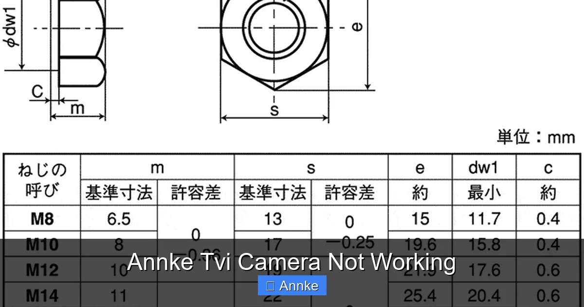 Annke Tvi Camera Not Working