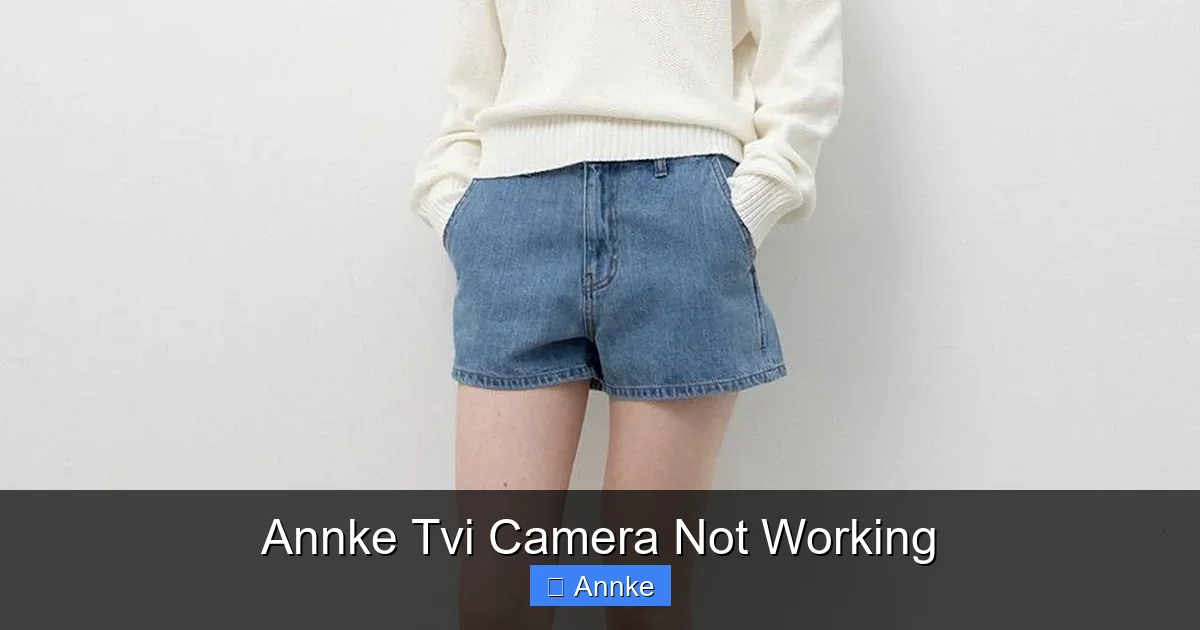 Annke Tvi Camera Not Working