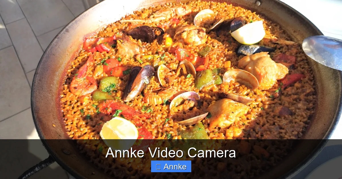 Annke Video Camera