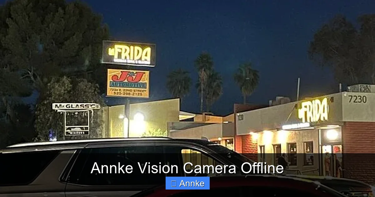 Annke Vision Camera Offline