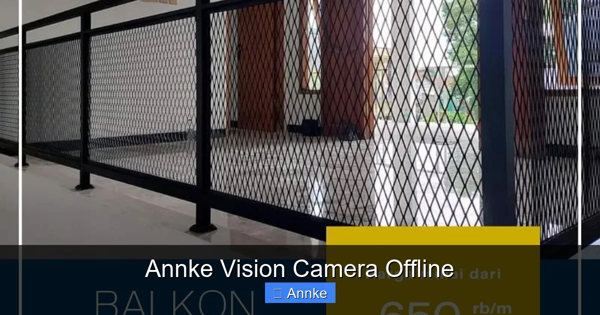 Annke Vision Camera Offline