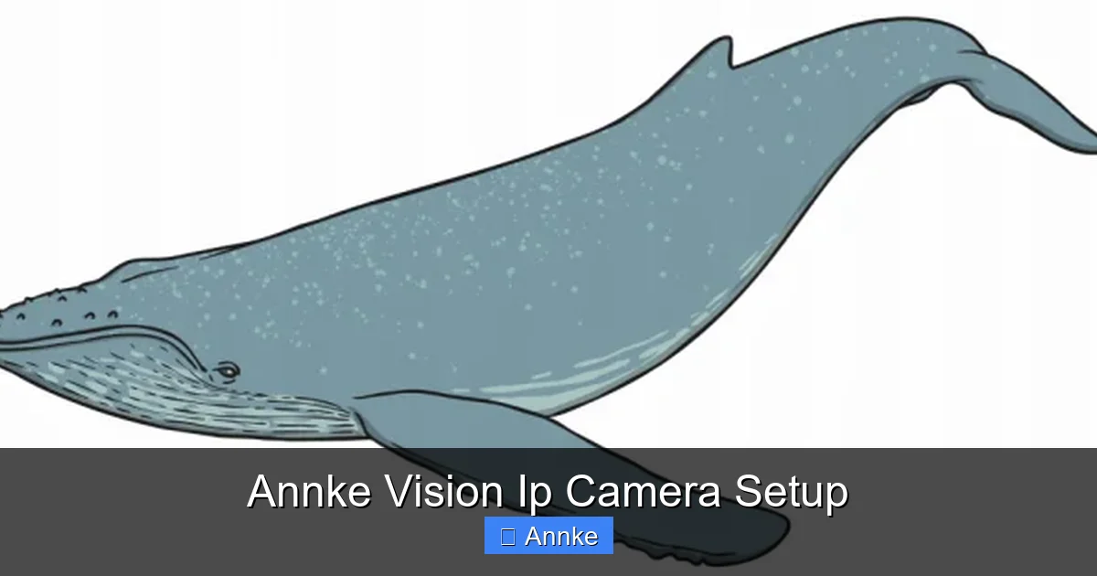 Annke Vision Ip Camera Setup