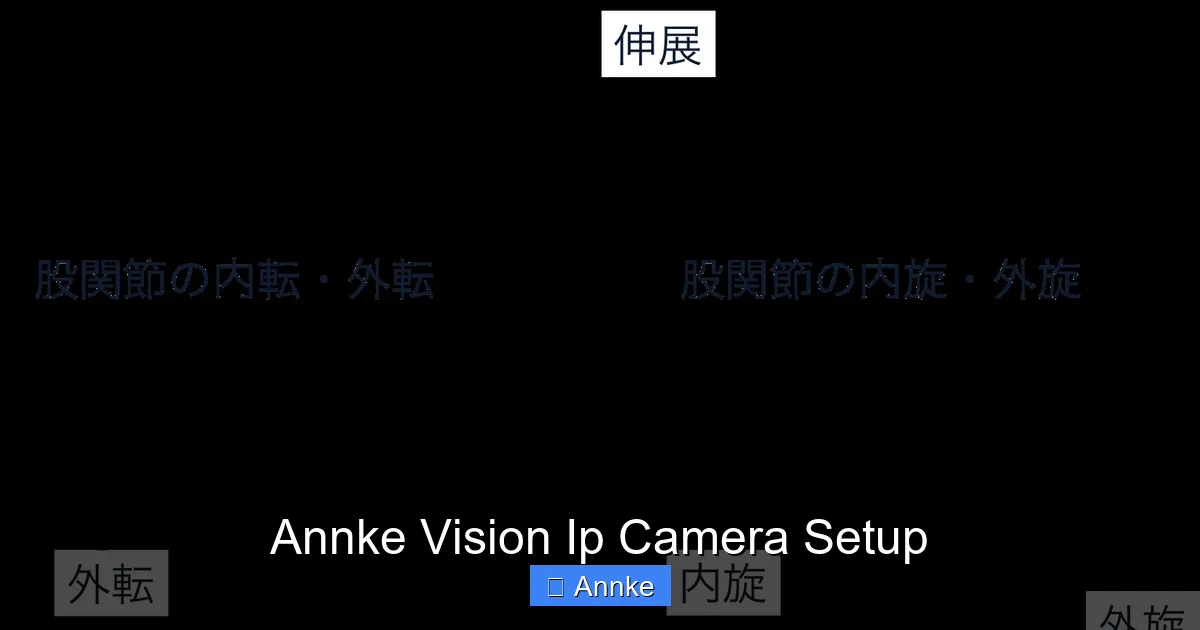Annke Vision Ip Camera Setup