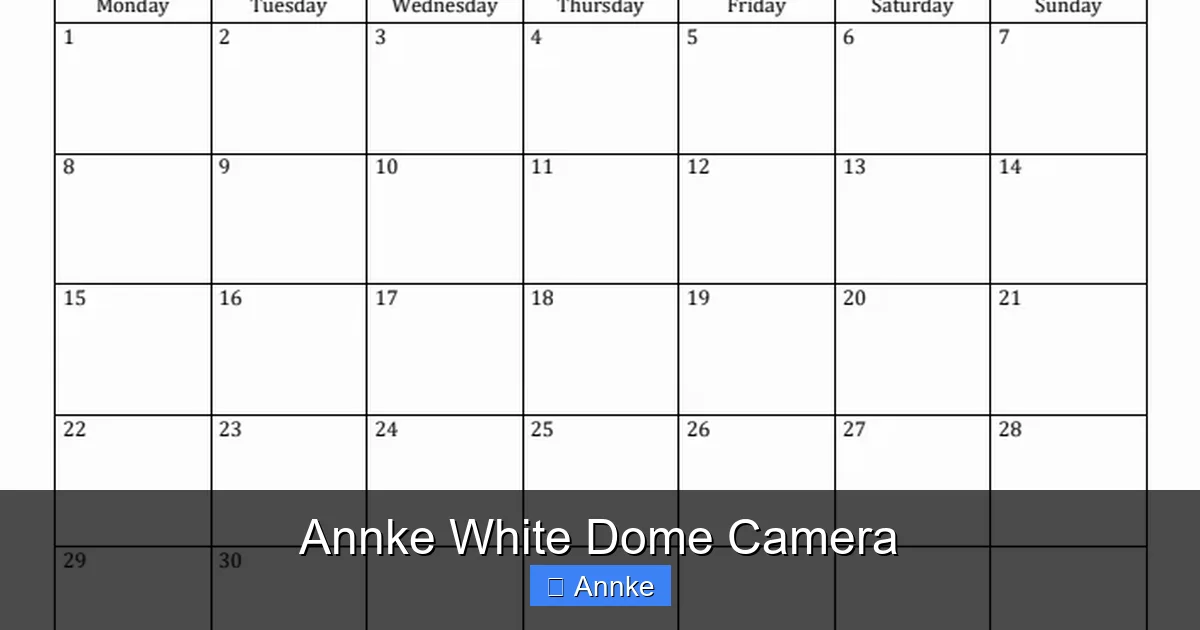 Annke White Dome Camera