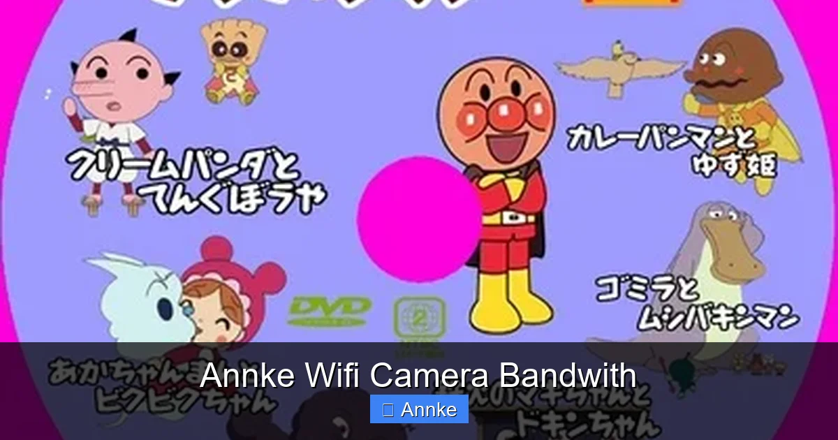 Annke Wifi Camera Bandwith