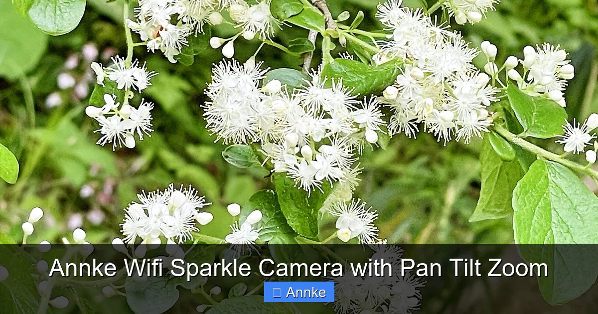 Annke Wifi Sparkle Camera with Pan Tilt Zoom