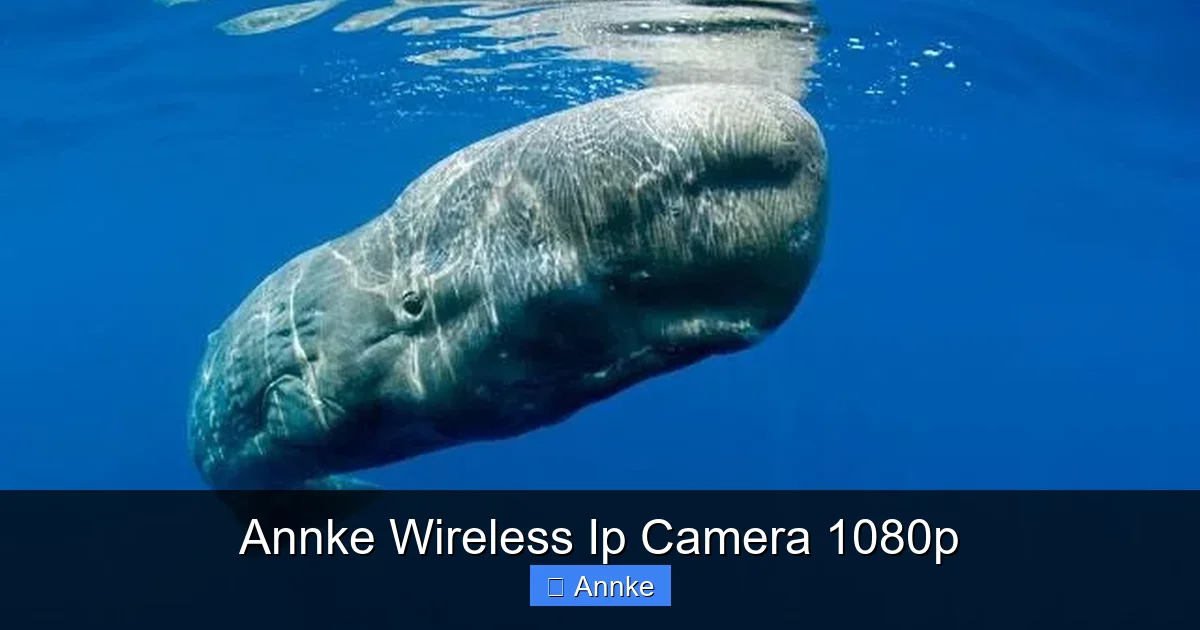 Annke Wireless Ip Camera 1080p