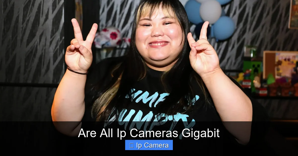Are All Ip Cameras Gigabit