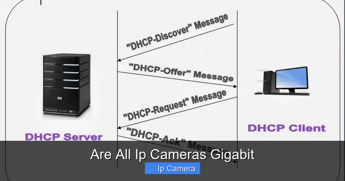 Are All Ip Cameras Gigabit