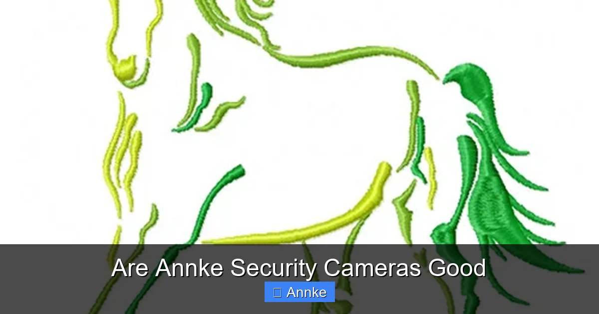 Are Annke Security Cameras Good
