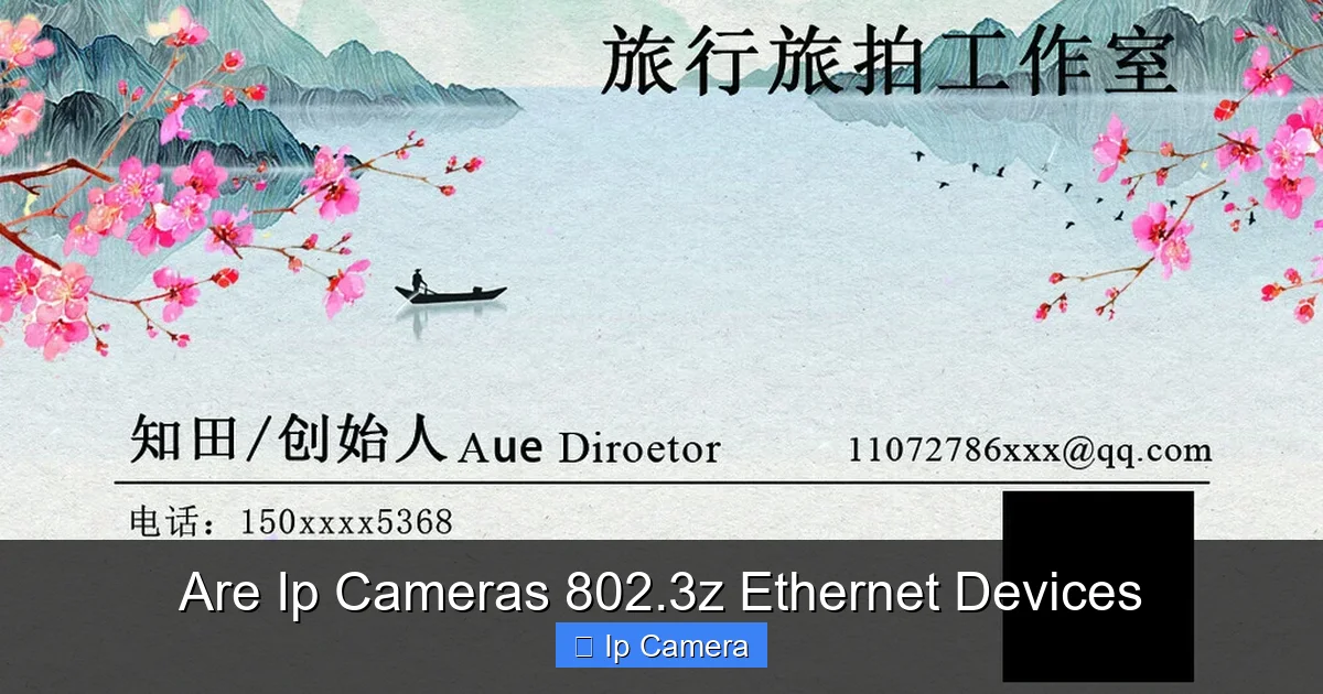Are Ip Cameras 802.3z Ethernet Devices