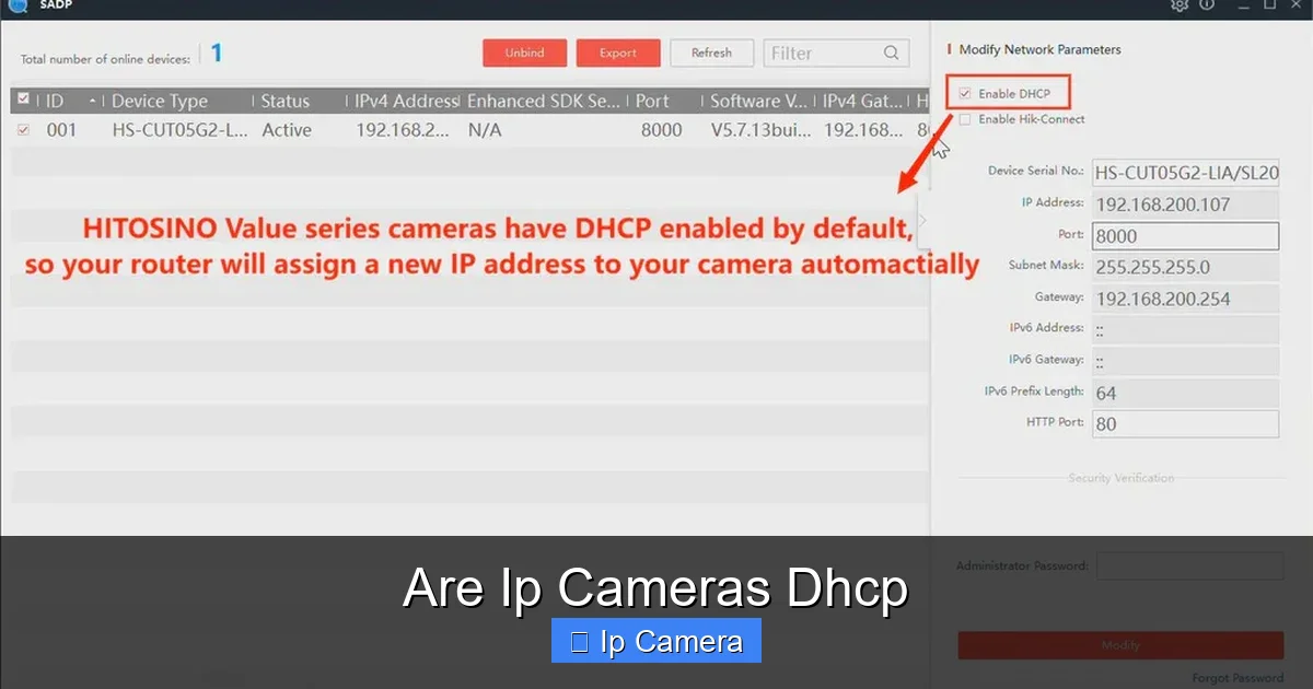 Are Ip Cameras Dhcp