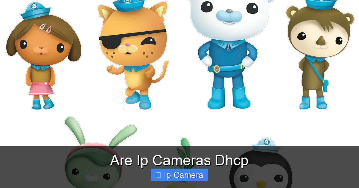 Are Ip Cameras Dhcp