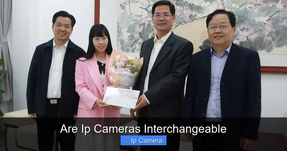 Are Ip Cameras Interchangeable